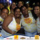 Bloco Skol Folia